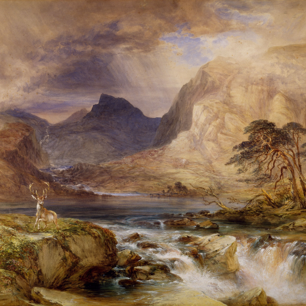 Freelance Artist Scenary 1